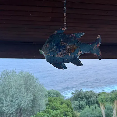 Sognu Di Mare Conca